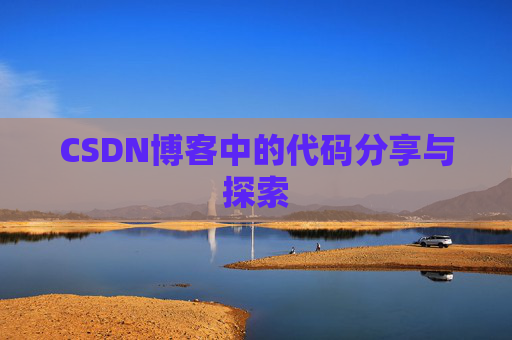 CSDN博客中的代码分享与探索